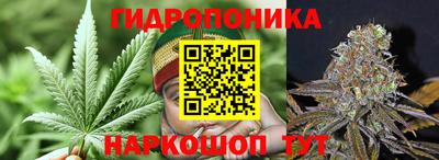 мескалин Кингисепп