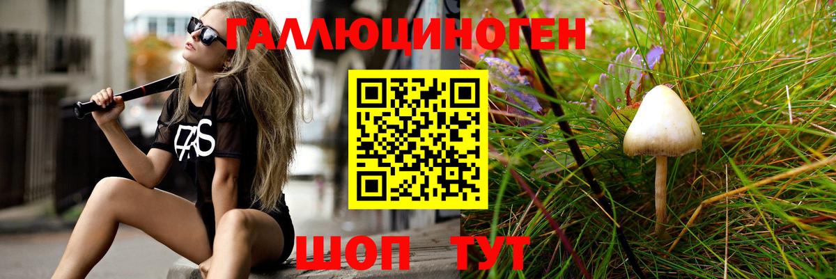 Галлюциногенные грибы ЛСД  Вход с VPN  Курчалой 