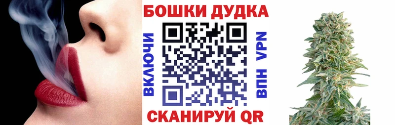 Каннабис сатива Курчалой
