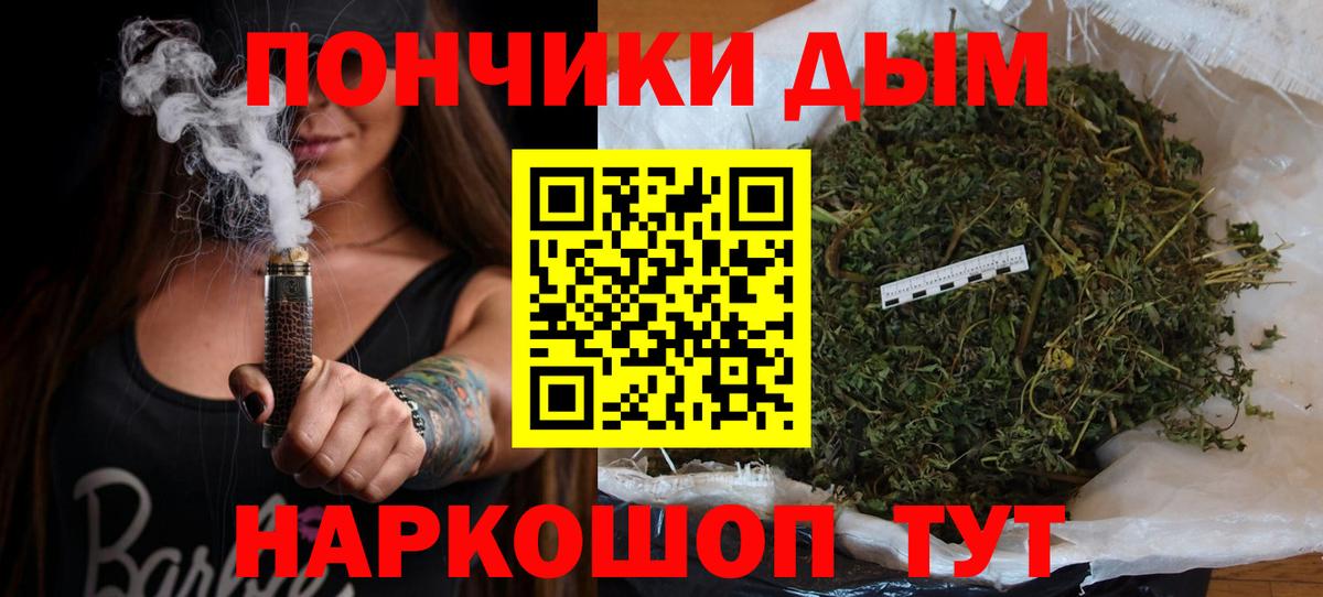 Бошки Шишки планчик Курчалой